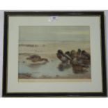 ARCHIBALD THORBURN Mallard ducks, signed, print, 31 x 40cm Condition Report:Available upon request