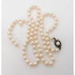 A string of pearls with a Canadian gold, rose cut diamond and pearl clasp, Length of pearls 62cm,