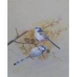 PHILLIP RICKMAN Long tailed tits, signed, watercolour, 31 x 25cm Condition Report:Available upon