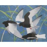 IAN WILLIS Petrels, signed, gouache, dated, 1973, 23 x 29cm and two others (3) Condition Report: