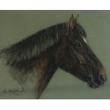 A BRYSON  HORSE SIDE PROFILE  Pastel on paper, signed lower left, dated (19)74, 42 x 50cm  Condition