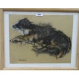 ANNE ANDERSON (SCOTTISH b.TRINIDAD)  PET COLLIE  Pastel, signed lower left, 26 x 34cm Condition