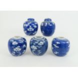 FIVE CHINESE BLUE AND WHITE GINGER JARS each painted with blossoming branches, 14cm high (5)