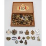 A collection of mainly military buttons, badges and rank pips, to include the Indian Medical