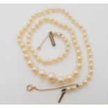 A string of good quality cultured pearls with a gold plated clasp, length 42cm, largest pearl 7.5mm,