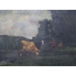 ROWENA T SHELDON Cattle grazing, signed, oil on canvas, 47 x 63cm Condition Report:Available upon
