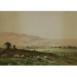 TOM CAMPBELL Sheep grazing, signed, watercolour, 26 x 35cm and six others (7) Condition Report: