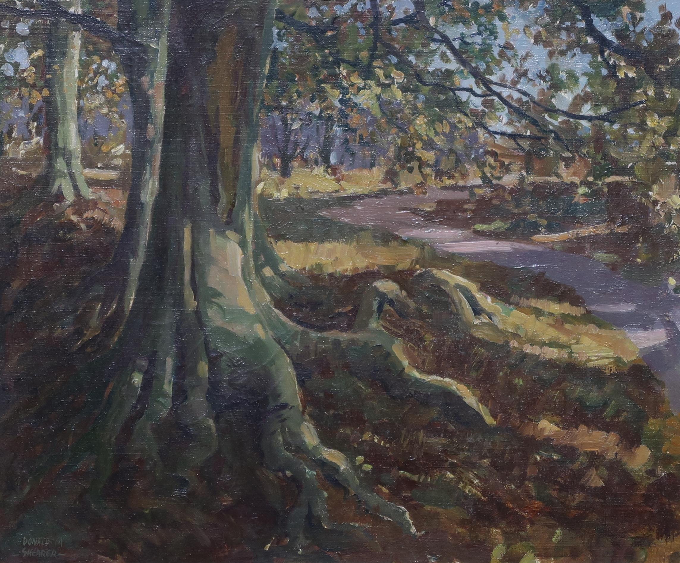 DONALD SHEARER Roots in Autumn, signed, oil on canvas, 40 x 48cm Condition Report:Available upon