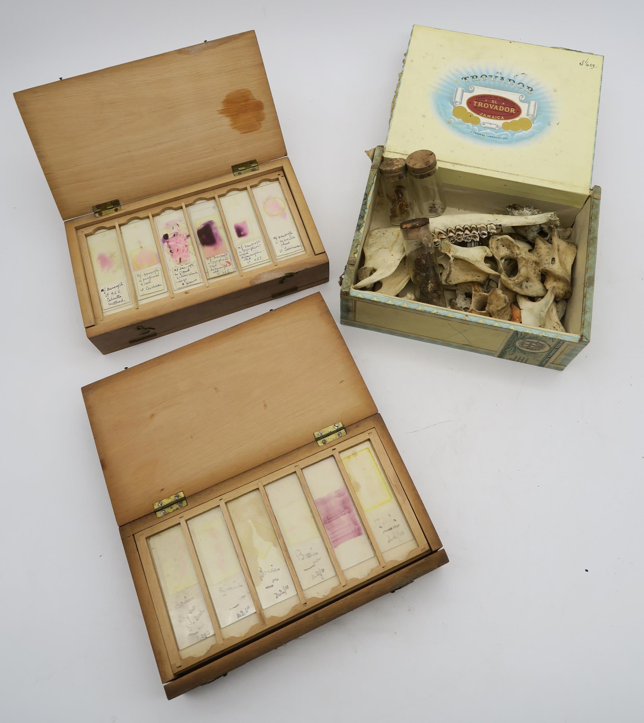 Two cases of medical microscope slides to include brain tissue samples, together with a cigar box