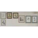 A lot of six framed prints of flowers and another print of "Jail Governors house from the college