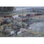 JOSEPH DENOVAN ADAM Cattle and sheep beside a river, signed, watercolour,dated, 1886  37 x 52cm