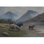 GORDON EWART Highland cattle, signed, oil on canvas, 25 x 35cm Condition Report:Available upon