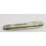 A Victorian silver and mother of pearl fruit knife, the handle with a blank rectangular cartouche,