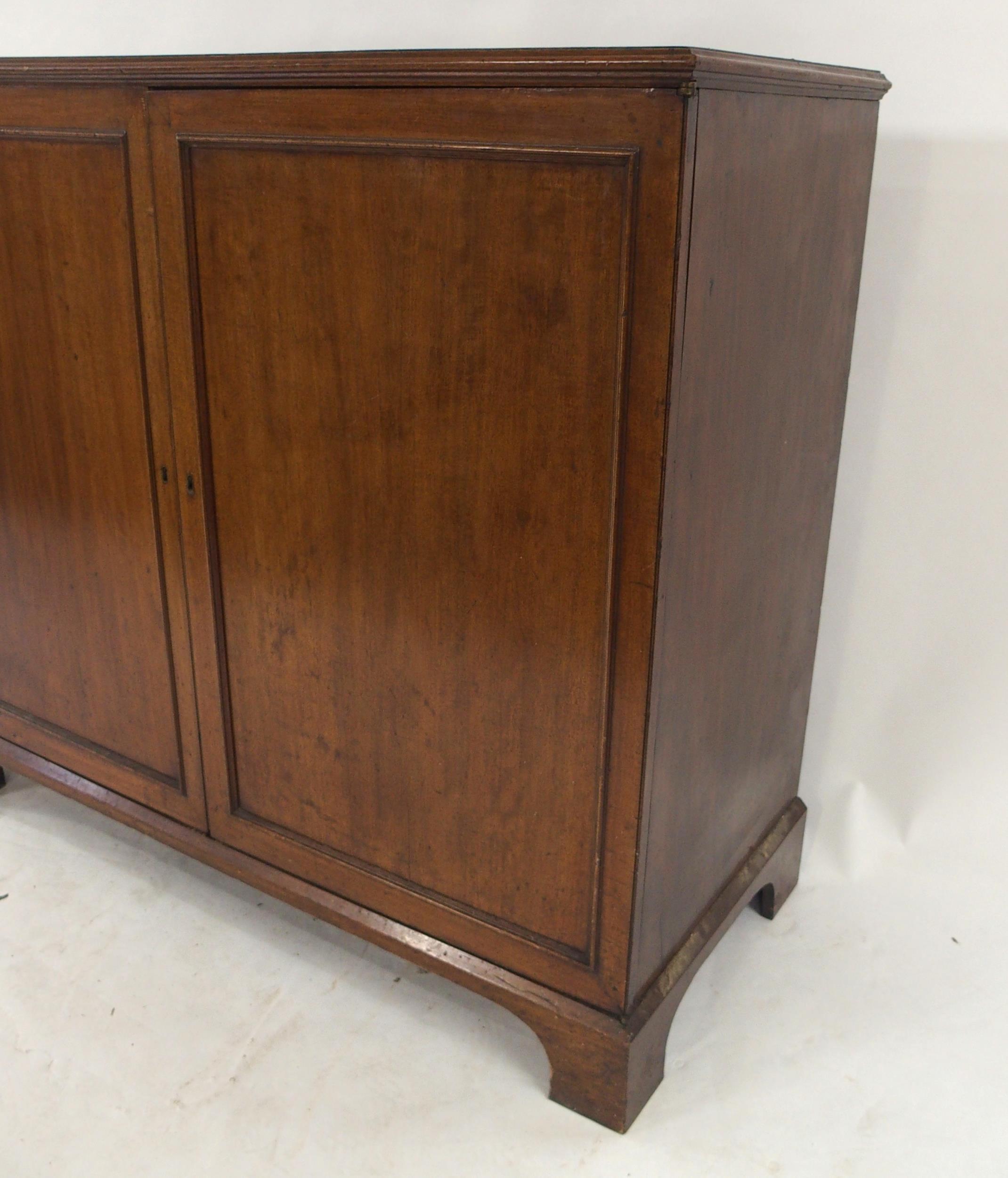 A VICTORIAN MAHOGANY SPECIMEN CABINET with a pair of panel cabinet doors concealing twenty - Image 4 of 13