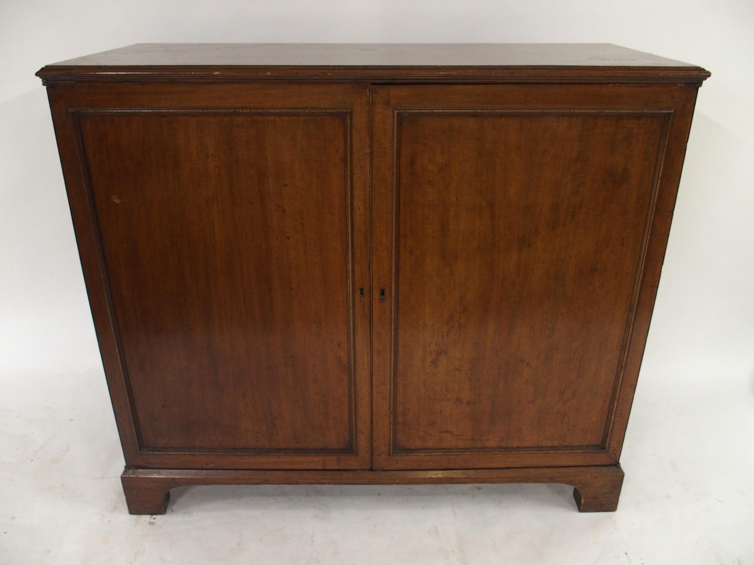 A VICTORIAN MAHOGANY SPECIMEN CABINET with a pair of panel cabinet doors concealing twenty - Image 3 of 13