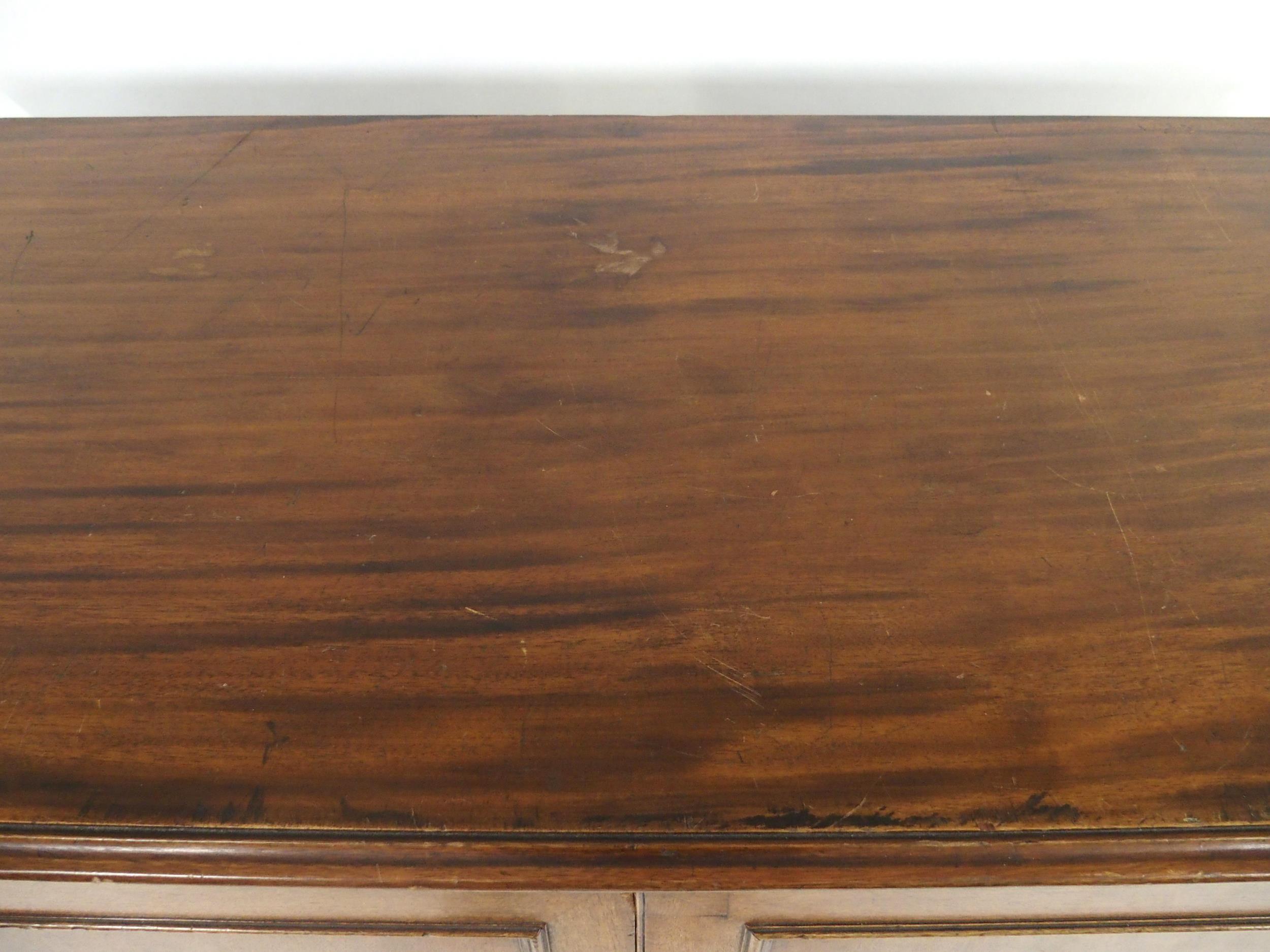 A VICTORIAN MAHOGANY SPECIMEN CABINET with a pair of panel cabinet doors concealing twenty - Image 13 of 13