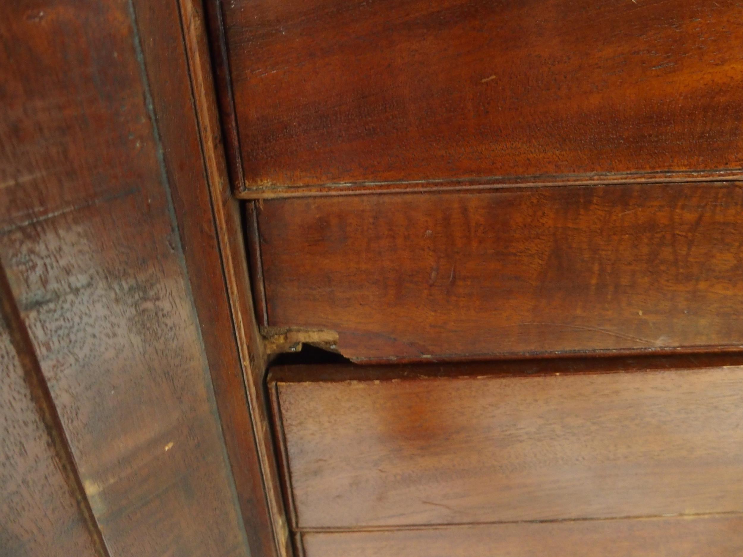 A VICTORIAN MAHOGANY SPECIMEN CABINET with a pair of panel cabinet doors concealing twenty - Image 11 of 13