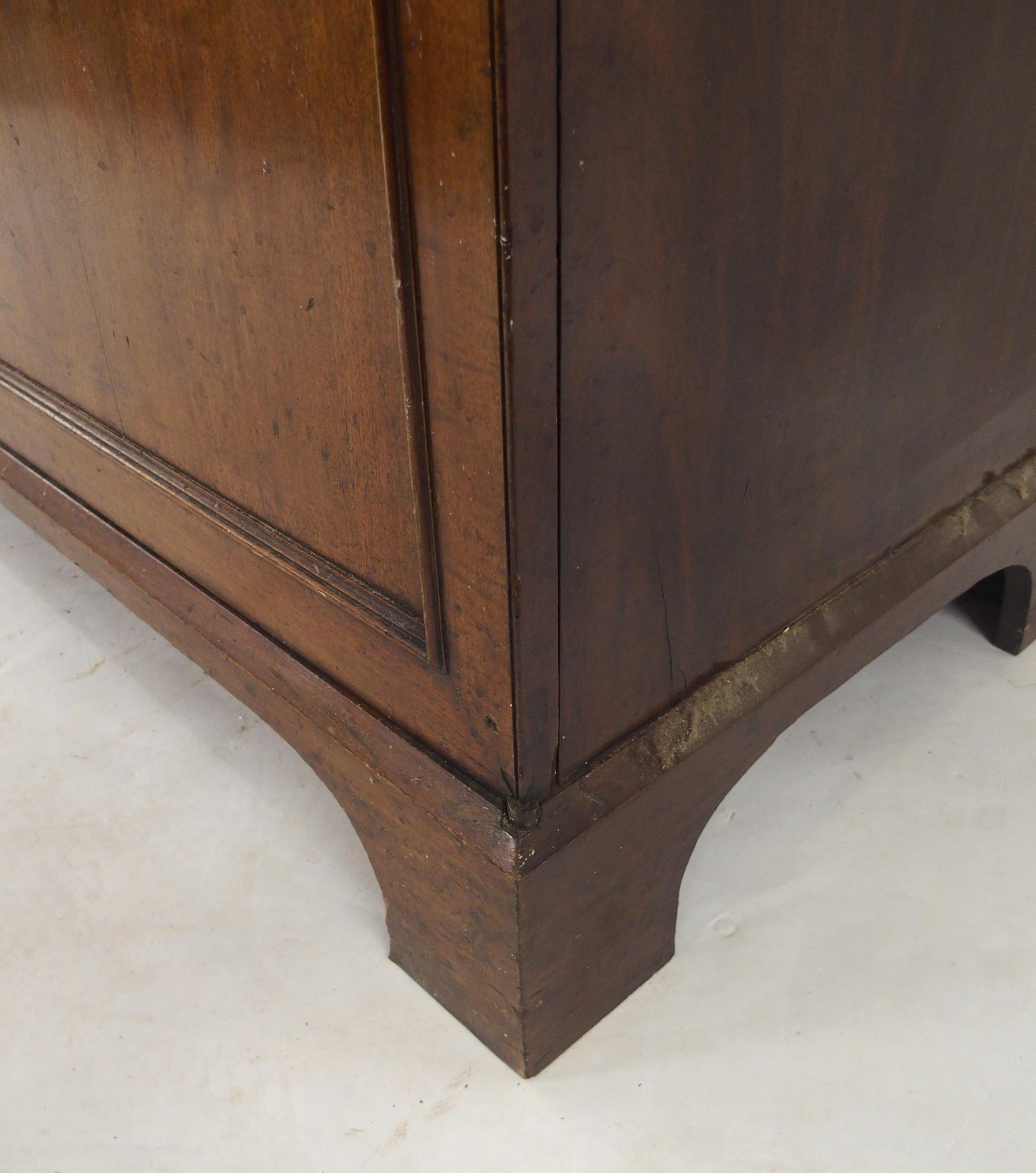 A VICTORIAN MAHOGANY SPECIMEN CABINET with a pair of panel cabinet doors concealing twenty - Image 7 of 13