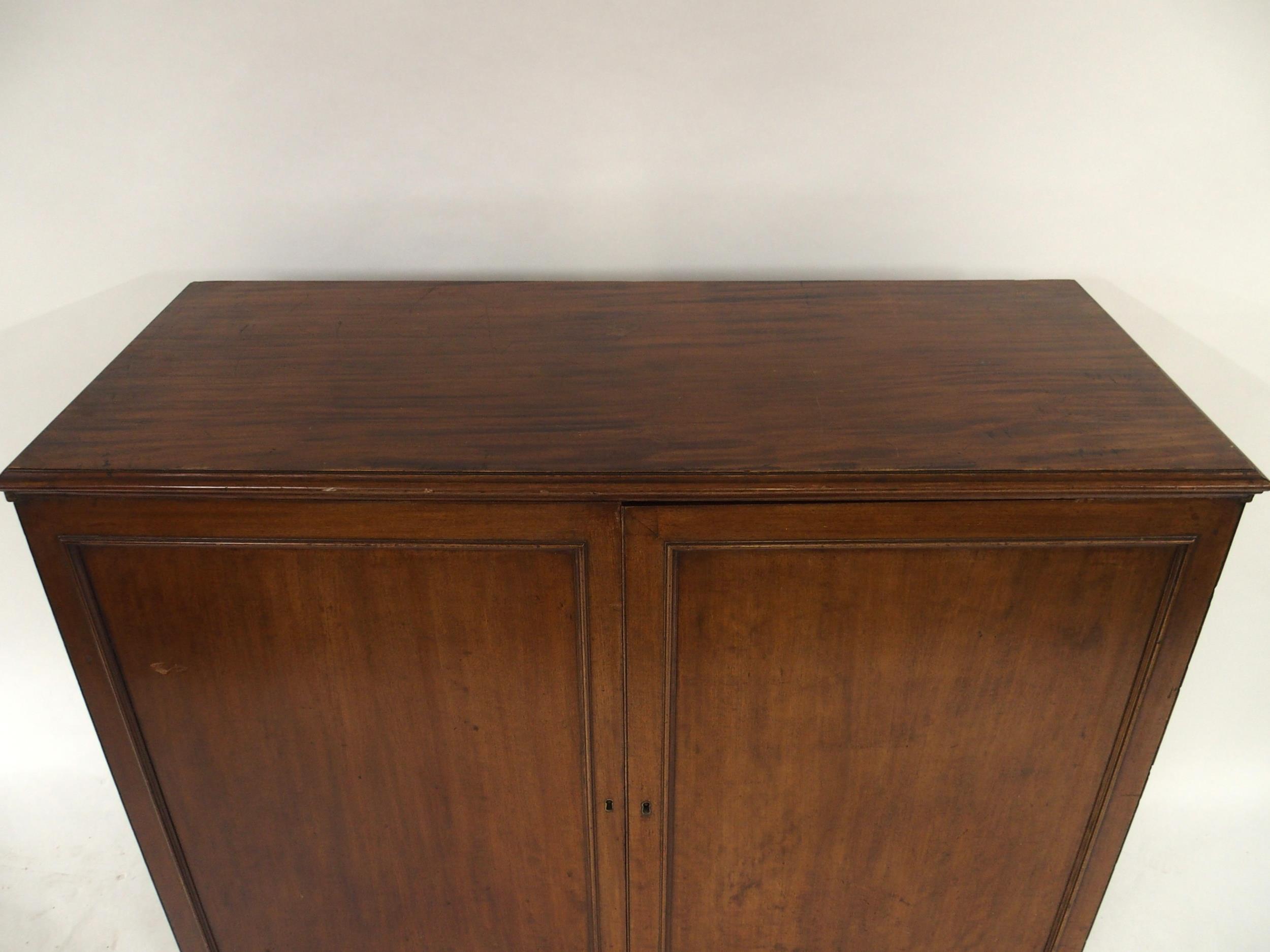 A VICTORIAN MAHOGANY SPECIMEN CABINET with a pair of panel cabinet doors concealing twenty - Image 5 of 13