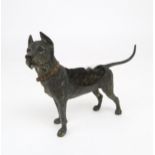 A 19TH/20TH CENTURY AUSTRIAN COLD PAINTED BRONZE NIB WIPE in the form of a German Mastiff,