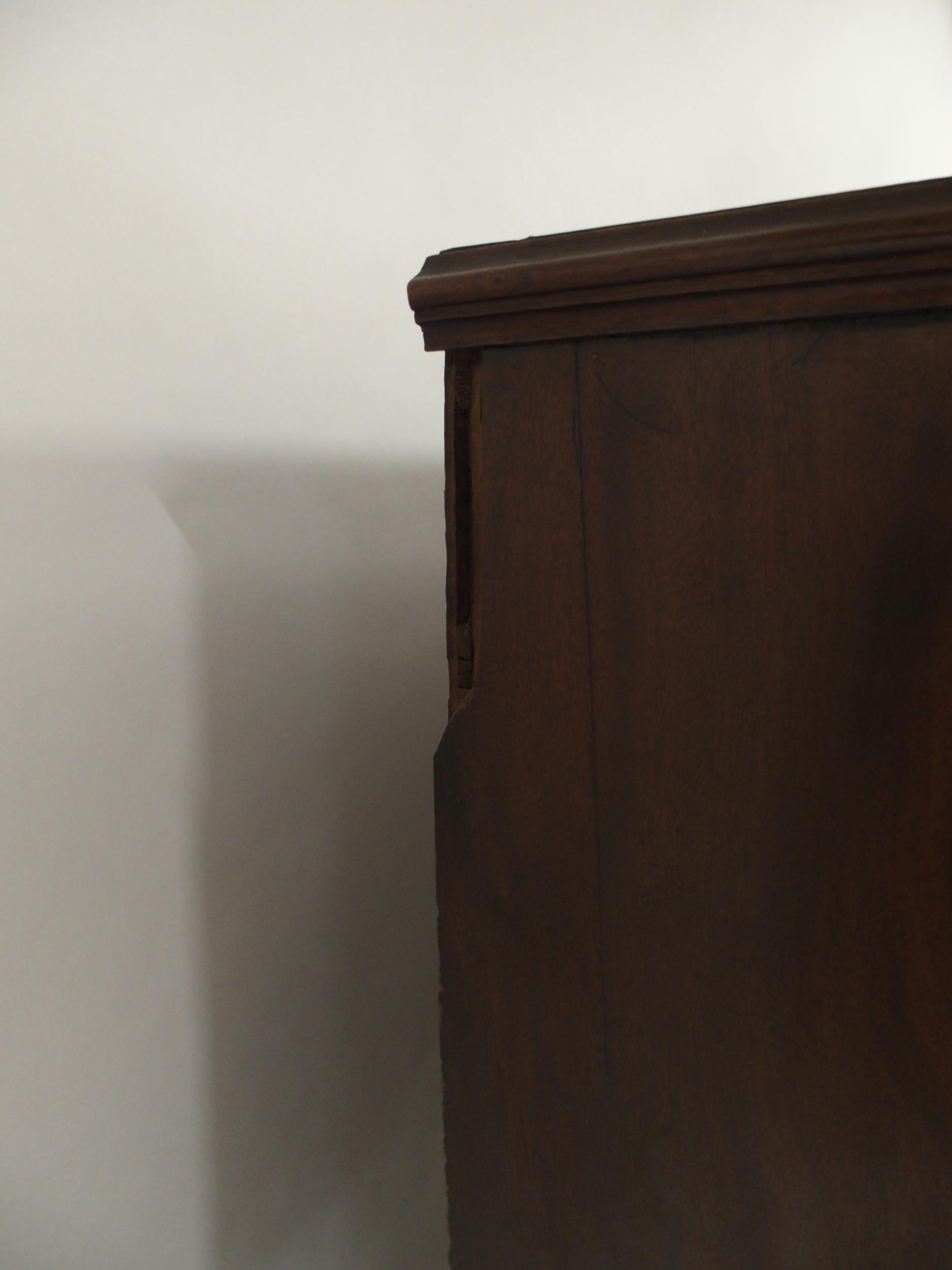 A VICTORIAN MAHOGANY SPECIMEN CABINET with a pair of panel cabinet doors concealing twenty - Image 6 of 13