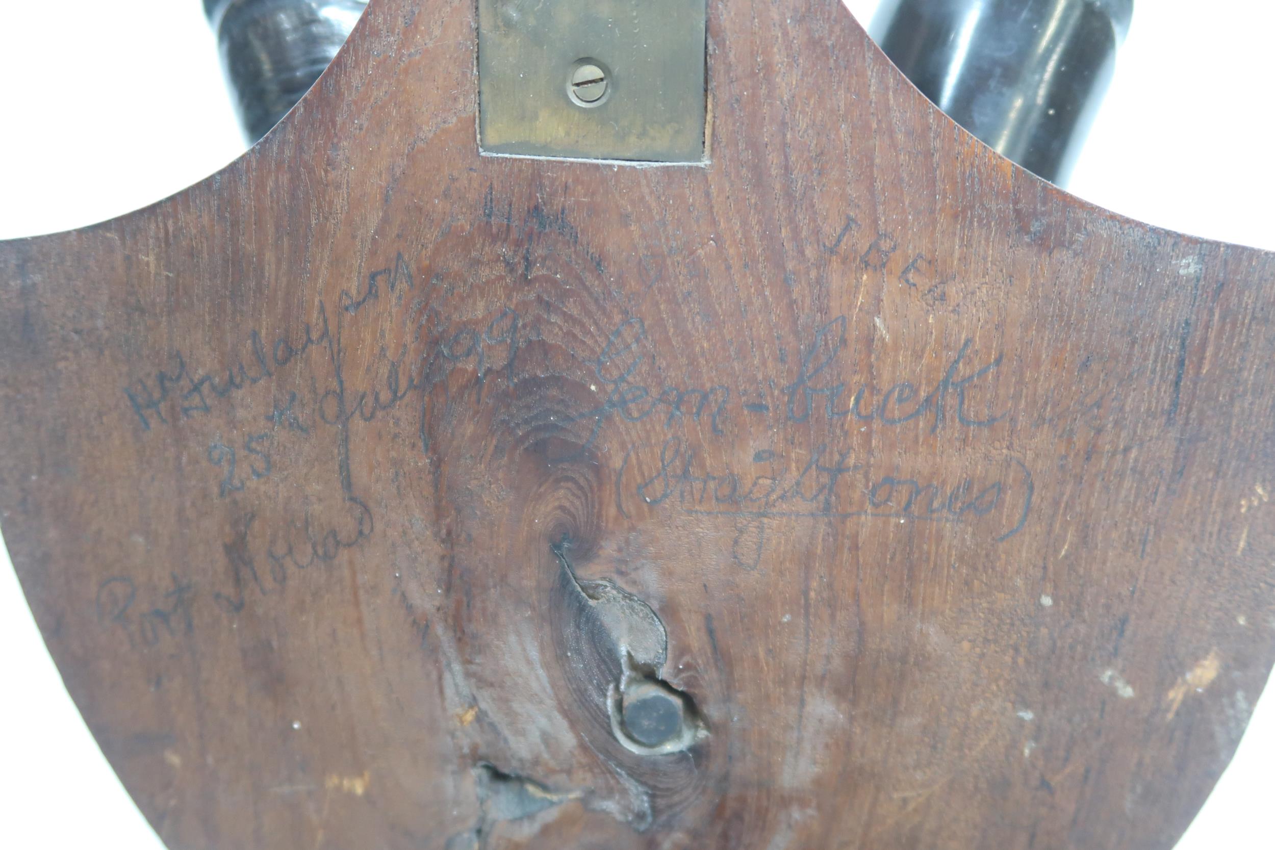 A PAIR OF 20TH CENTURY GEMSBOK ORYX HORNS ON UPPER SKULL on stained oak shield mount, 98cm high - Image 6 of 6