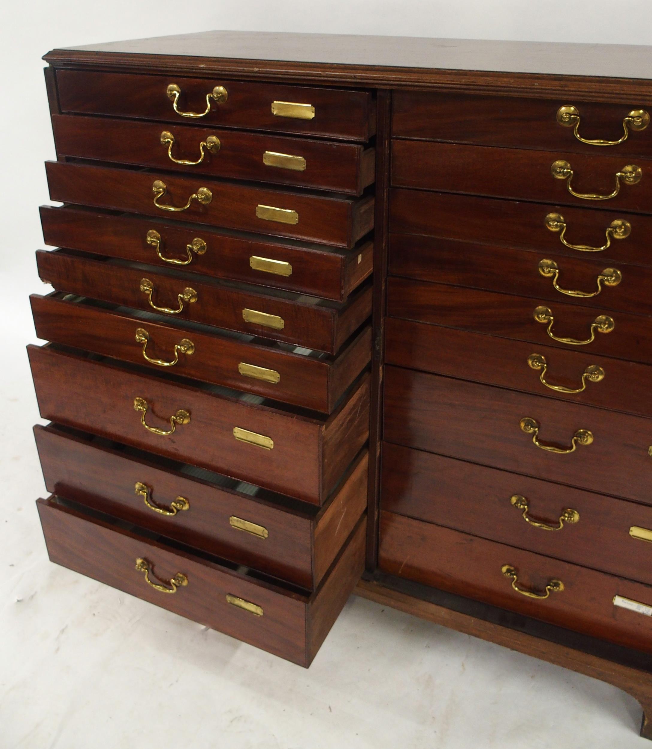 A VICTORIAN MAHOGANY SPECIMEN CABINET with a pair of panel cabinet doors concealing twenty - Image 2 of 13