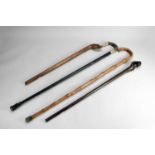 A group of four various sticks and canes