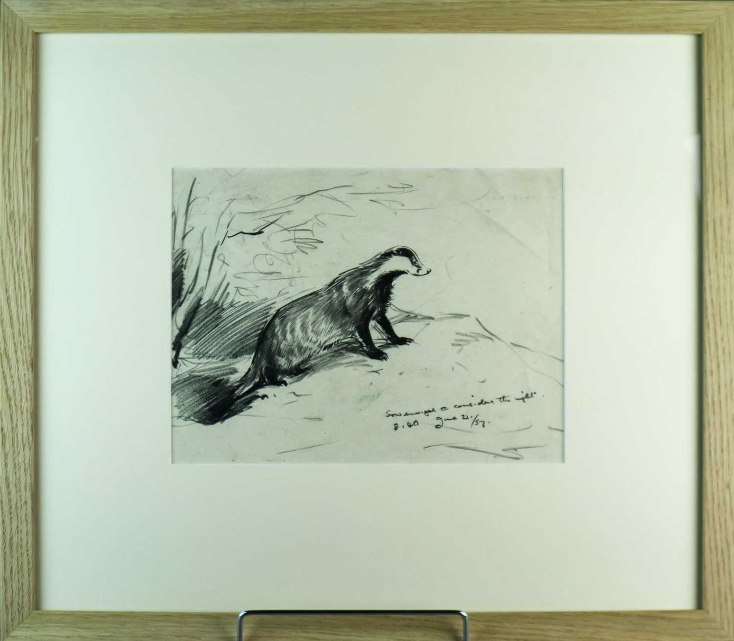 Eileen Alice Soper (1905-1990) Two Badger Drawings - Image 3 of 6