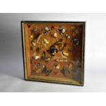 Taxidermy: A cased collection of butterfly and other insect samples
