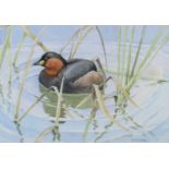 Noel William Cusa (1909-1990) Waterbird in the Reeds