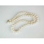 A single strand uniform cultured pearl necklace