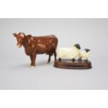 Beswick Red Poll Cow and sheep