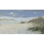 Steven Townsend (b.1950) Avocet Flying over the Sand Dunes