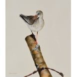 § Terence Lambert (b.1951) Redshank Perched on a Post