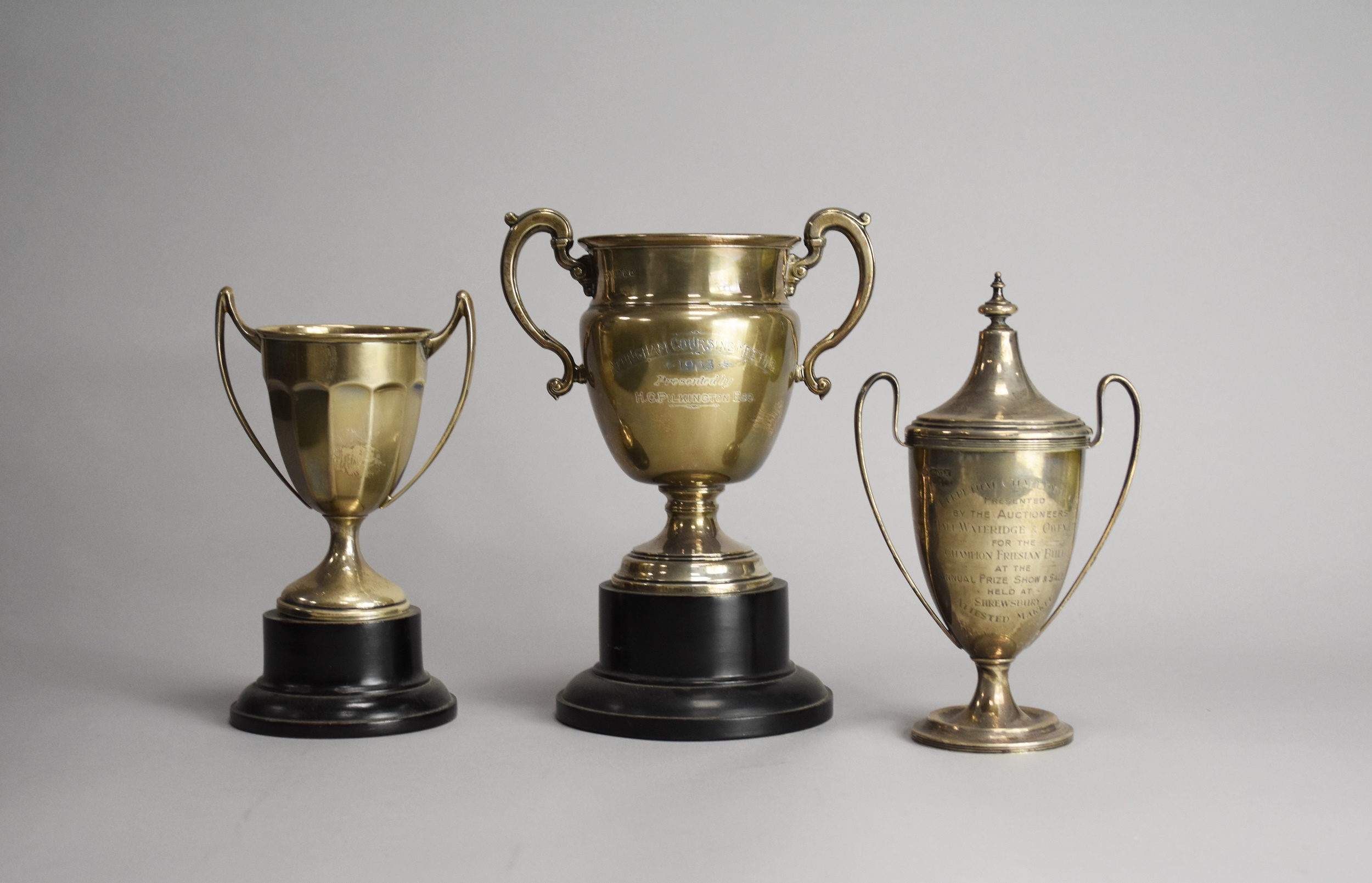 Three silver trophy cups