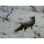 § Terence Lambert (b.1951) Fox in the Snow