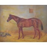 Alfred Grenfell Haigh (British, 1870-1963), 'The Khedive', a horse in a loosebox