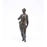 A Coalbrookdale patinated cast iron, Renaissance style plate, 9 others and a bronze maiden (11)