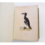 BIRD PLATES. A Collection of 254 hand-coloured 19th century bird plates
