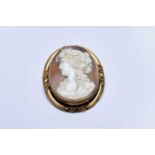 An oval shell cameo brooch