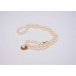 A single strand cultured pearl necklace