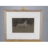 John Murray Thomson, R.S.W (British, 1885-1974), 'Foxhound and Puppies', w/c, 22 x 32.7cm