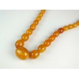 A graduated amber bead necklace