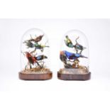 Taxidermy: a pair of Victorian ornithological displays