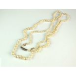 A graduated untested pearl necklace