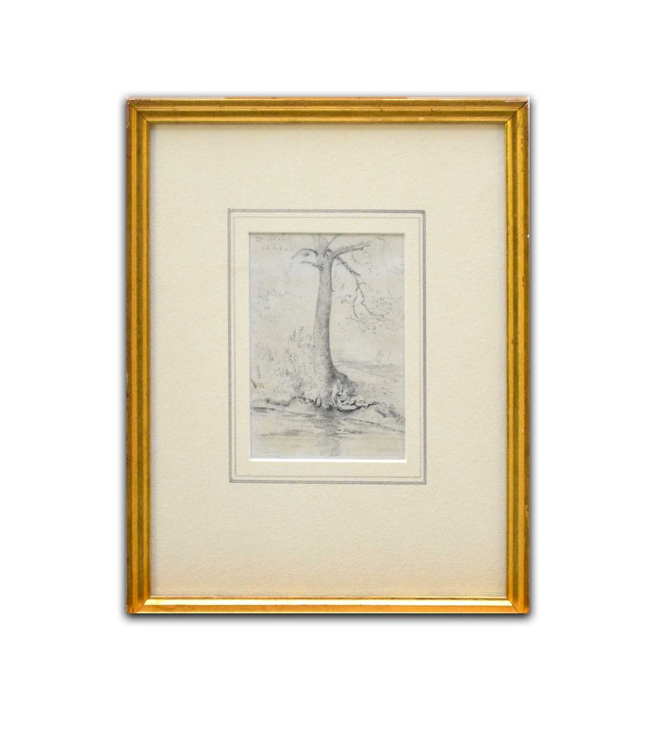 John Constable R.A. (1776 - 1837) A tree by the banks of a stream, pencil, 11.7cm x 8.9cm