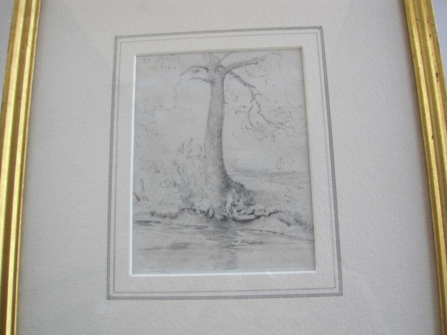 John Constable R.A. (1776 - 1837) A tree by the banks of a stream, pencil, 11.7cm x 8.9cm - Image 8 of 12