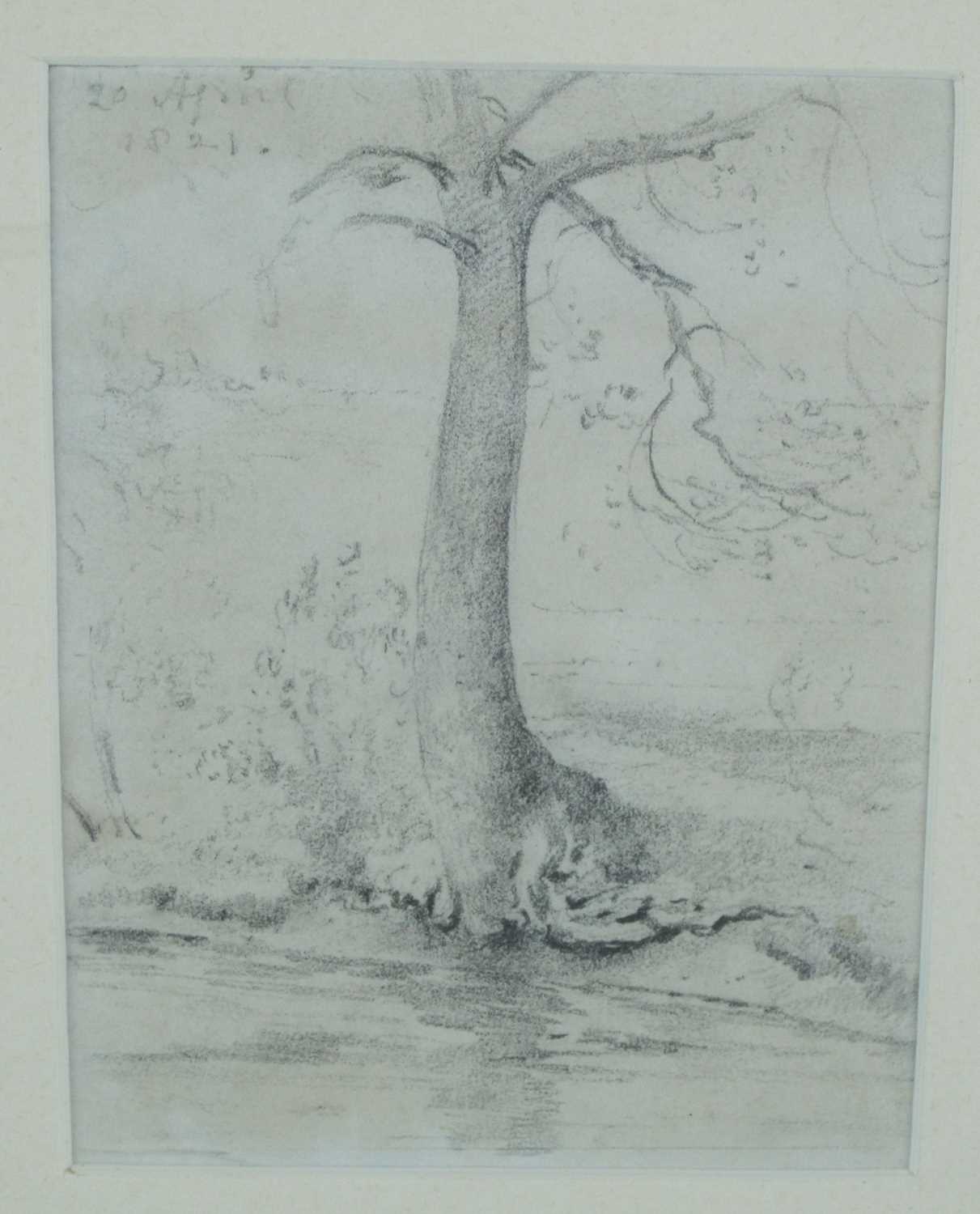 John Constable R.A. (1776 - 1837) A tree by the banks of a stream, pencil, 11.7cm x 8.9cm - Image 2 of 12