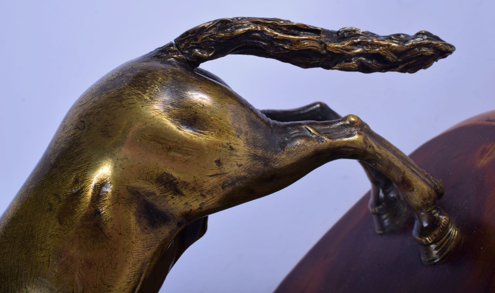 A FINE 18TH CENTURY EUROPEAN BRONZE FIGURE OF A ROAMING HORSE After the Antiquity, modelled leaping - Image 7 of 8